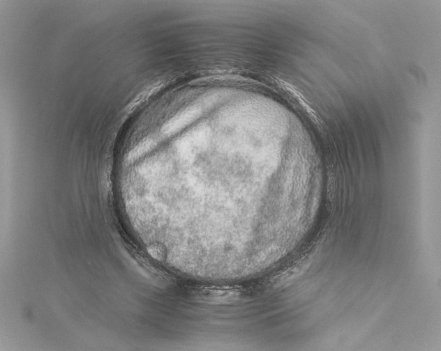 X0000115020443200911161449