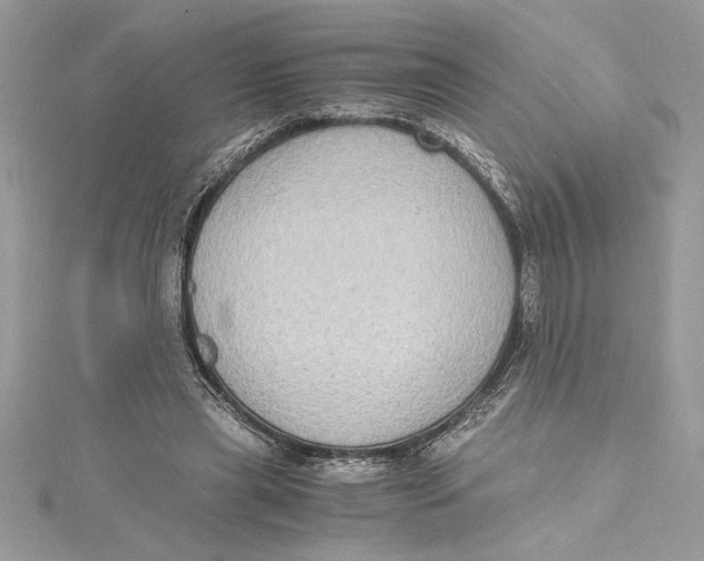 X0000115020445200911161449