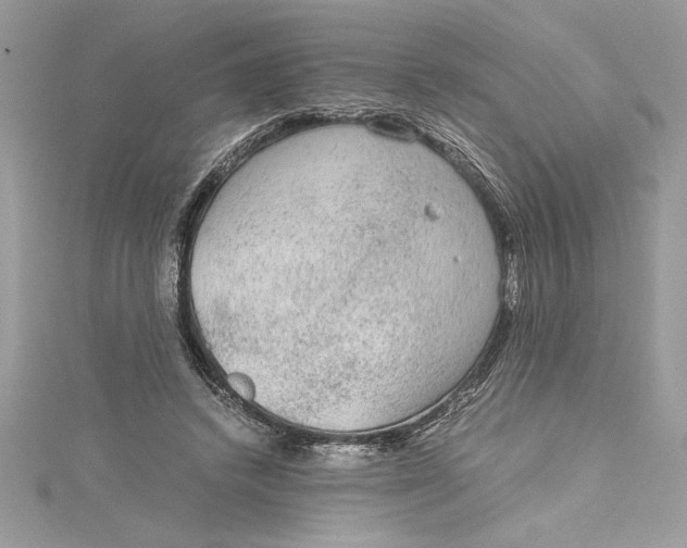 X0000115020448200911161449