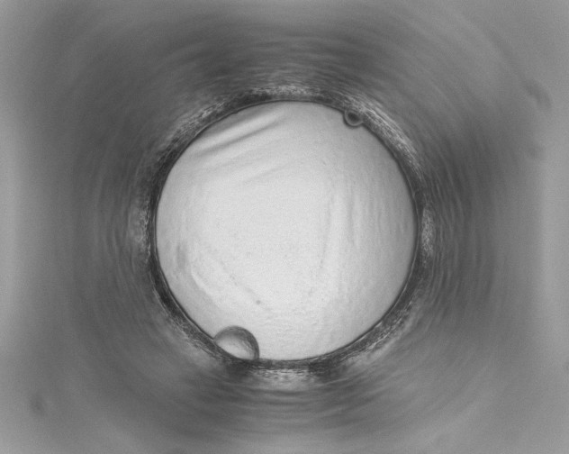 X0000115020449200911161449