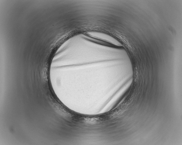 X0000115020450200911161449