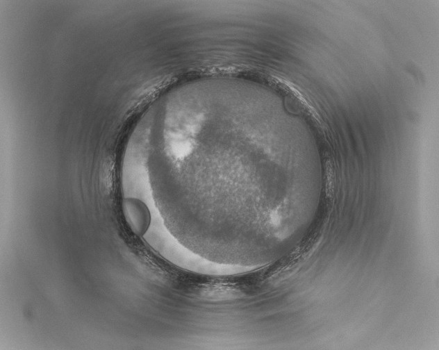 X0000115020451200911161449