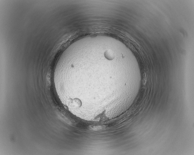 X0000115020452200911161449