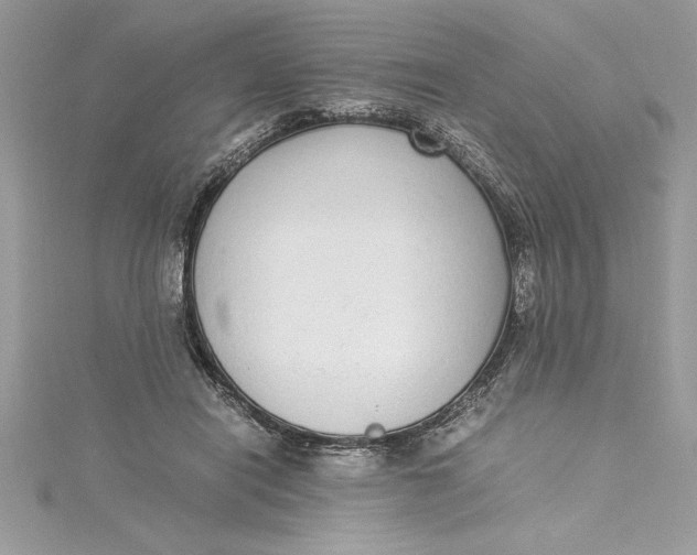 X0000115020454200911161449