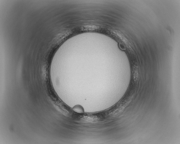 X0000115020455200911161449