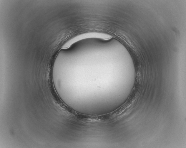 X0000115020458200911161449