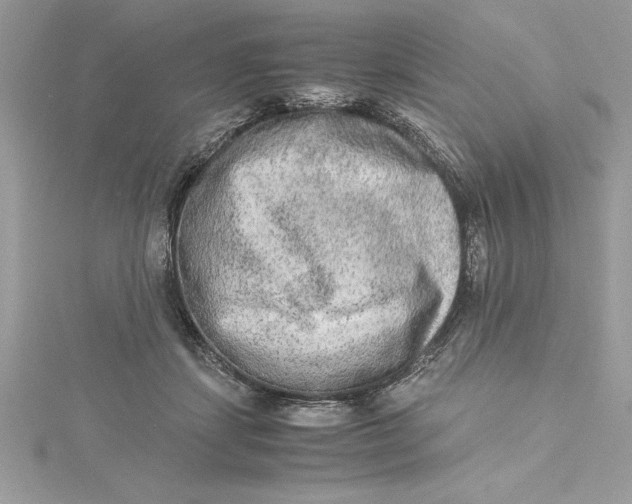 X0000115020459200911161449