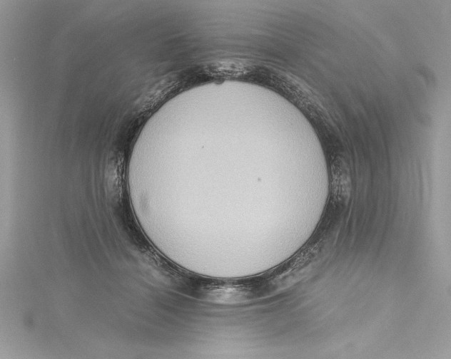 X0000115020460200911161449