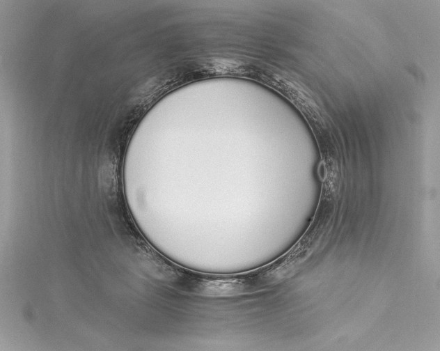 X0000115020461200911161449