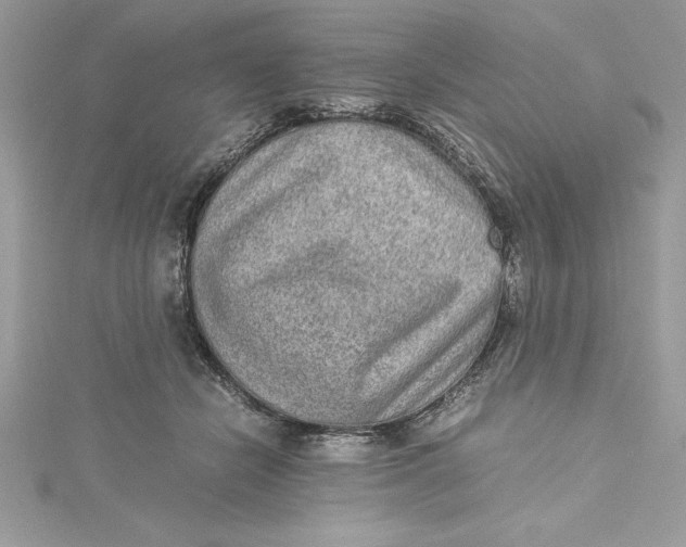 X0000115020462200911161449