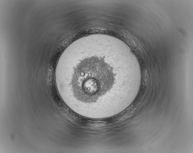 X0000115020463200911161449