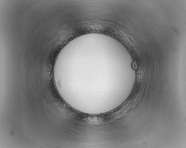 X0000115020464200911161449