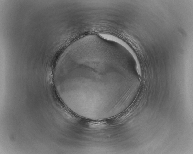 X0000115020465200911161449