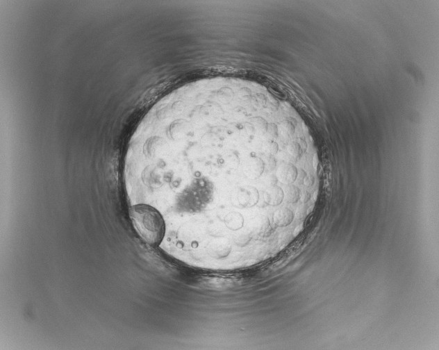 X0000115020466200911161449