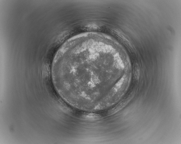 X0000115020467200911161449