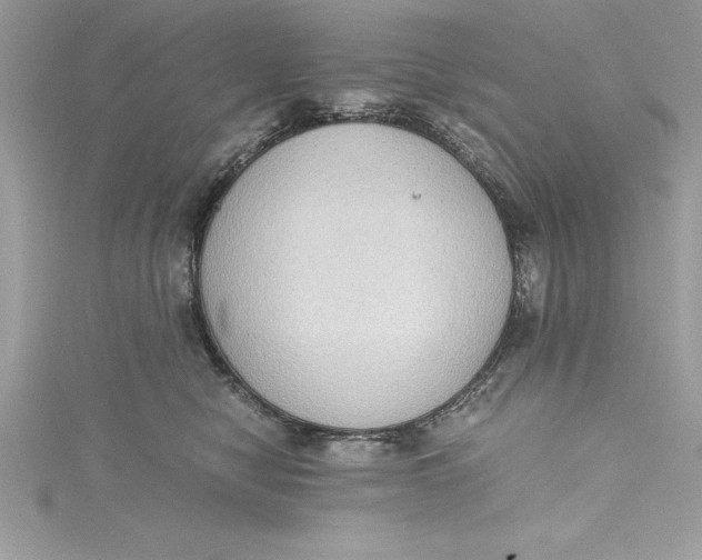 X0000115020470200911161450