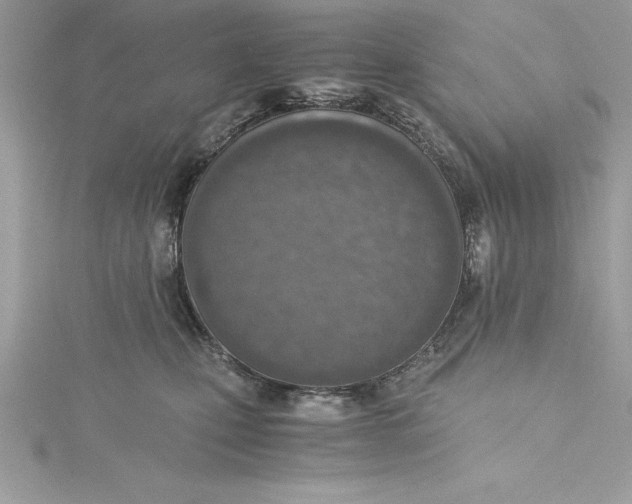 X0000115020471200911161450