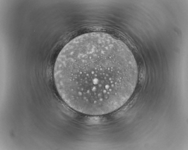 X0000115020473200911161450