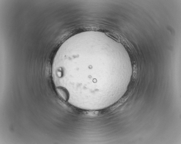 X0000115020474200911161450