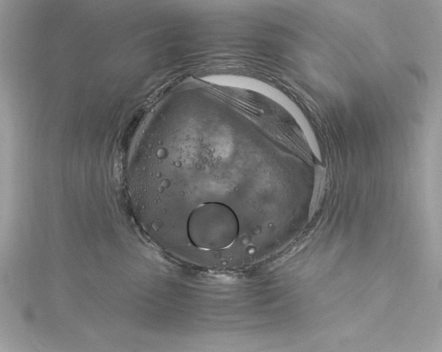 X0000115020475200911161450