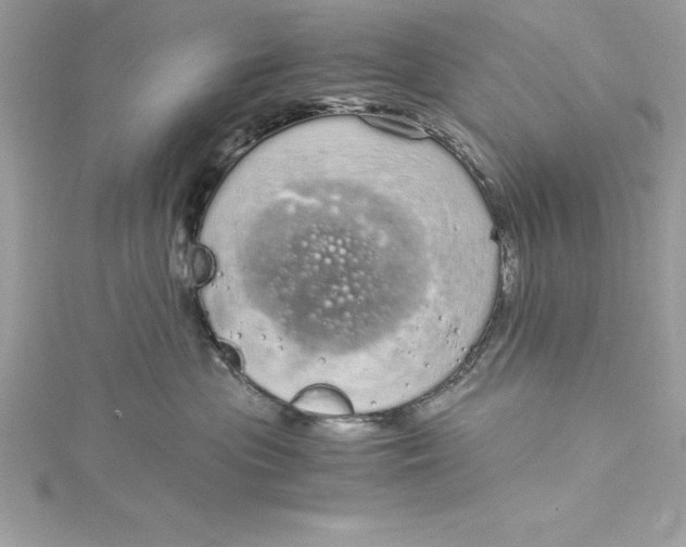 X0000115020477200911161450