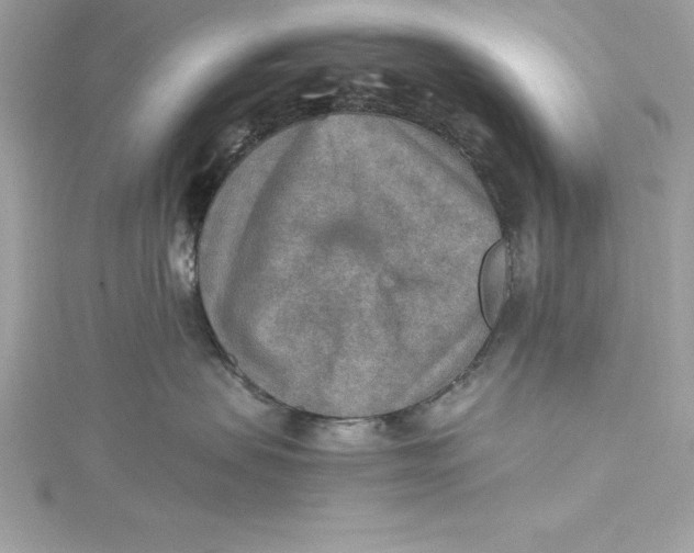 X0000115020479200911161450