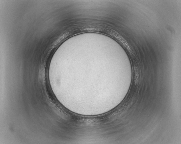 X0000115020482200911161449