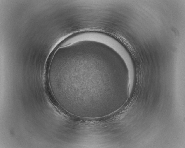 X0000115020484200911161449