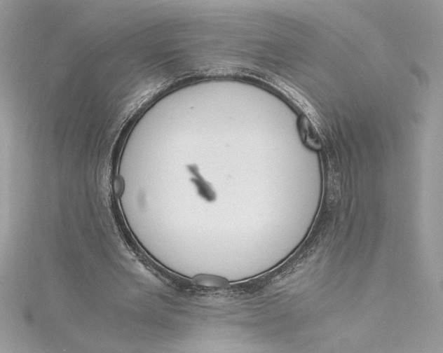 X0000115020485200911161449