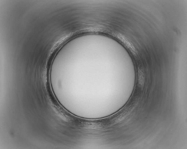 X0000115020486200911161449