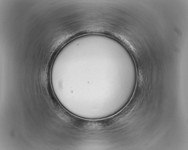 X0000115020487200911161449