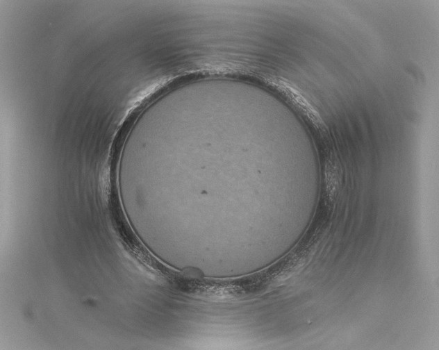 X0000115020488200911161449