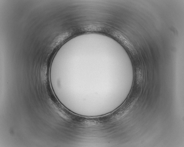 X0000115020490200911161449