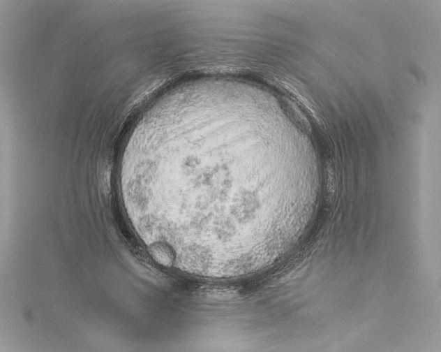 X0000115020491200911161449