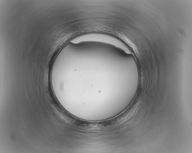 X0000115020493200911161449