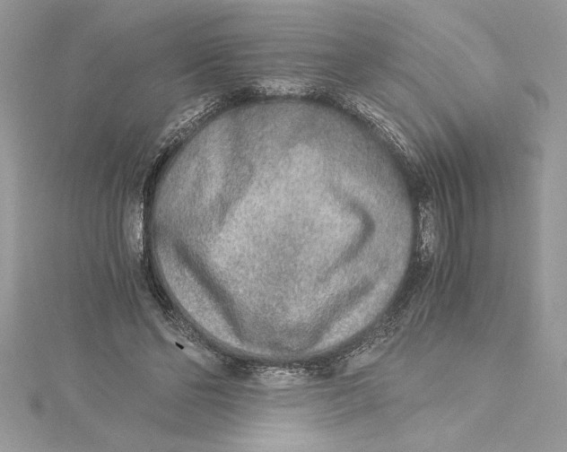 X0000115020494200911161449