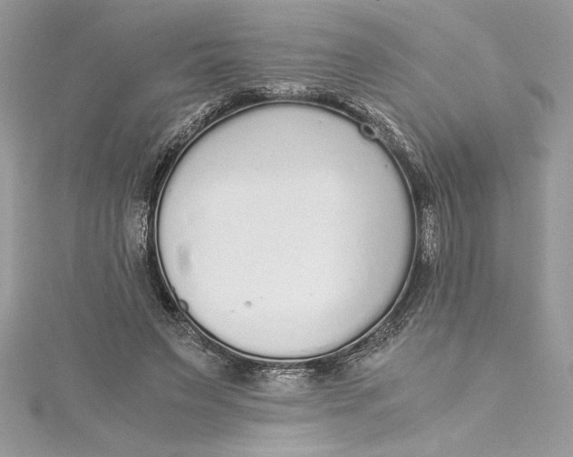 X0000115020495200911161449