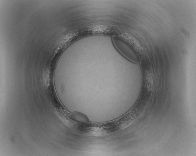 X0000115020496200911161449