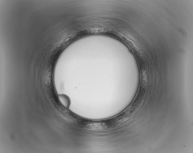 X0000115020499200911161449