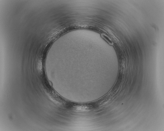 X0000115020500200911161449