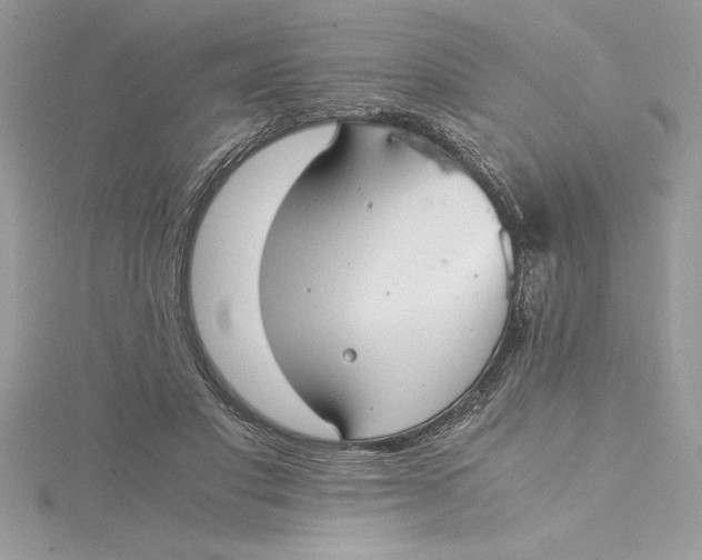 X0000115020501200911161449