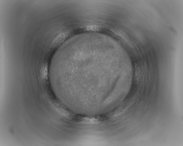 X0000115020502200911161449