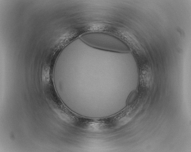 X0000115020504200911161449