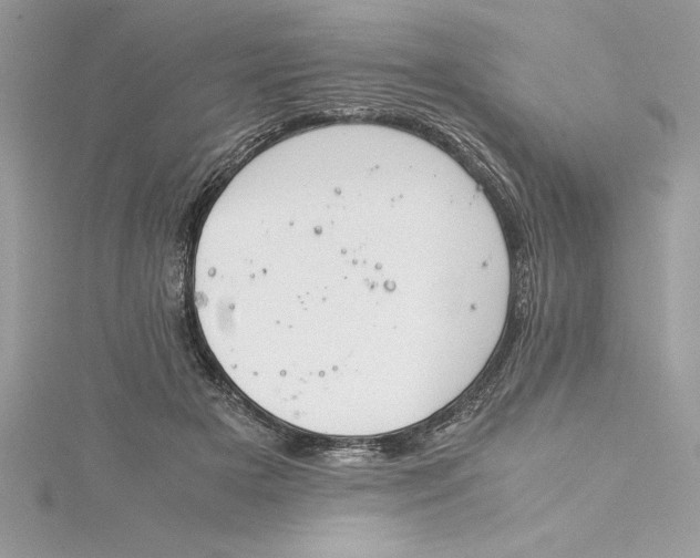 X0000115020505200911161449