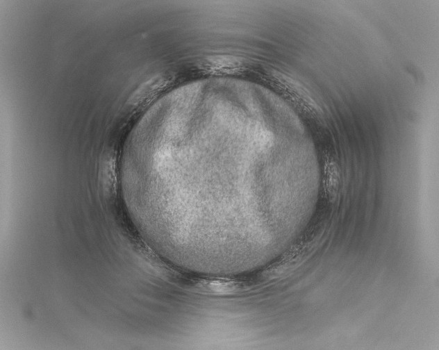 X0000115020506200911161449