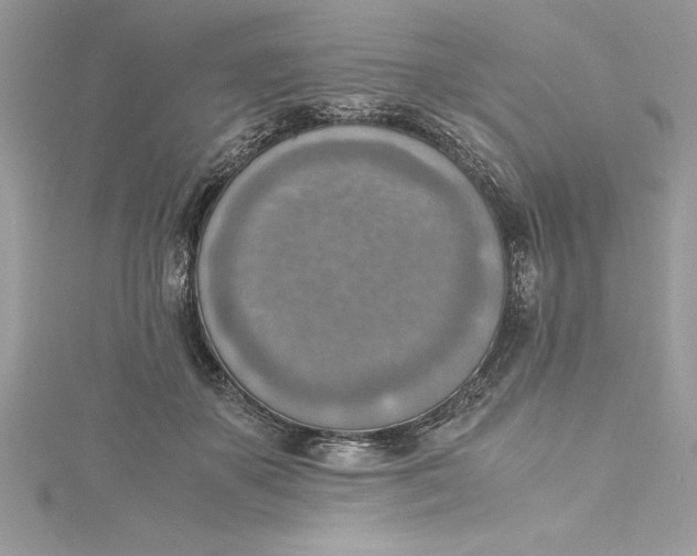 X0000115020507200911161449