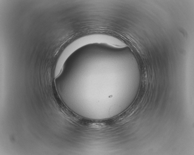 X0000115020508200911161449