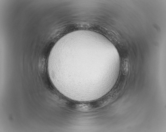 X0000115020511200911161448