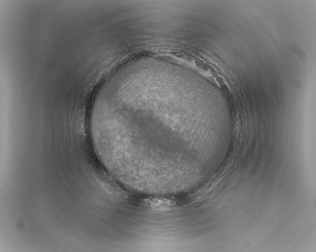 X0000115020512200911161448