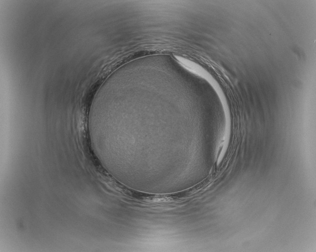 X0000115020517200911161448